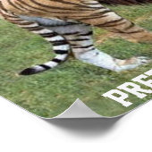 LIGER VEEL MIJN FAVORIETE DIERLIJKE POSTER (Hoek)