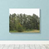 Liggende bomen landschap canvasprint canvas afdruk (Insitu (Houten vloer))