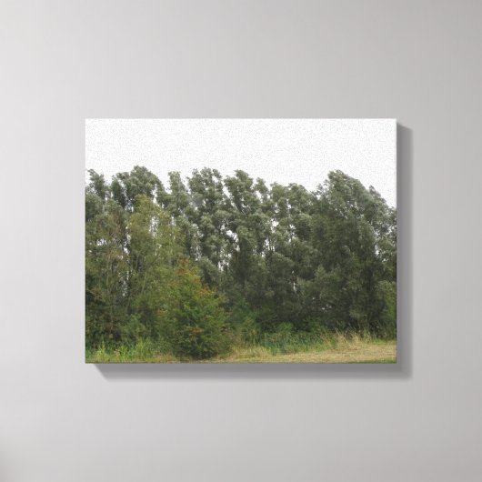 Liggende bomen landschap canvasprint canvas afdruk (Voorkant)