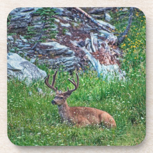 Liggende Buck Bier Onderzetter (Voorkant)