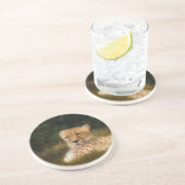 Liggende jachtluipaard in Fossil Rim Wildlife Cent Zandsteen Onderzetter (Zijkant)