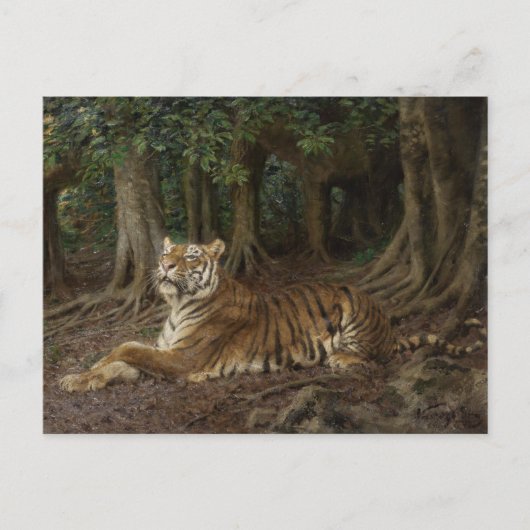 Liggende tijger van Geza Vastagh Briefkaart (Voorkant)