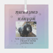 Light Beyond the Rainbow Tribute Glas Ornament (Voorkant)