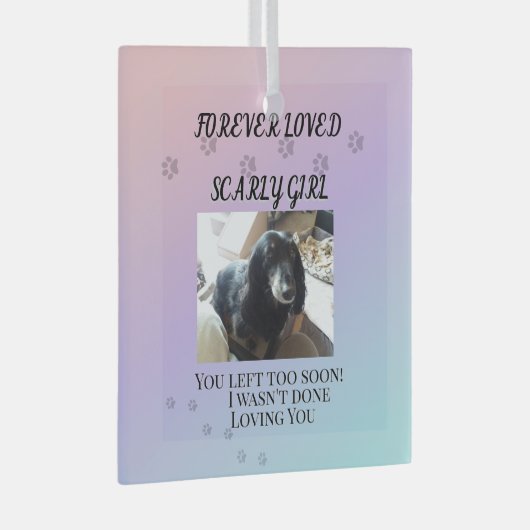 Light Beyond the Rainbow Tribute Glas Ornament (Voorkant Rechts)