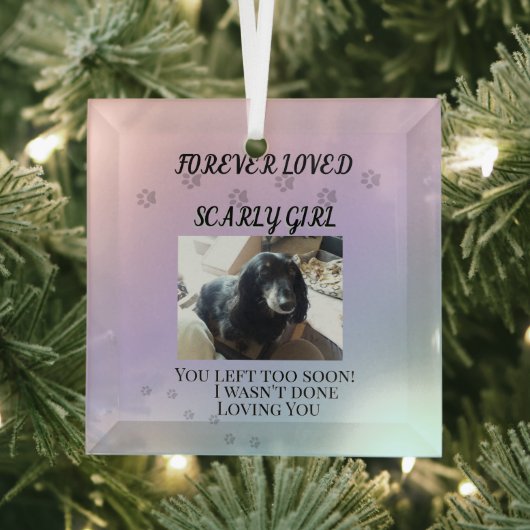 Light Beyond the Rainbow Tribute Glas Ornament (Insitu)