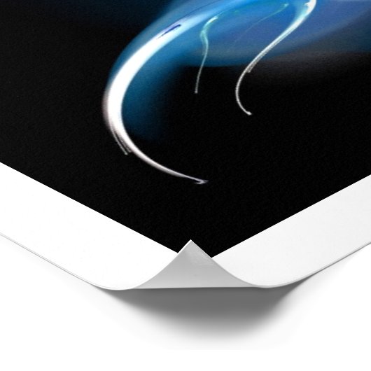 LIGHT BIRD IN BLUE POSTER (Hoek)