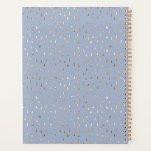 Light Blue Gold Raindrop Modern Trendy Monogram Planner (Achterkant)