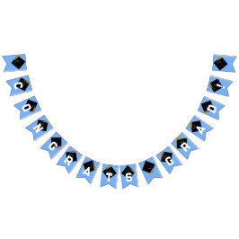 Light Blue Graduation Party Congrats Decoration Vlaggetjes