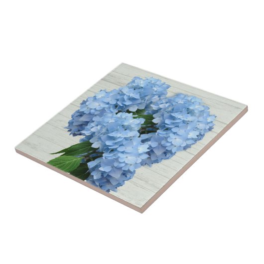 Light Blue Hydrangea Flowers Tegeltje (Zijkant)