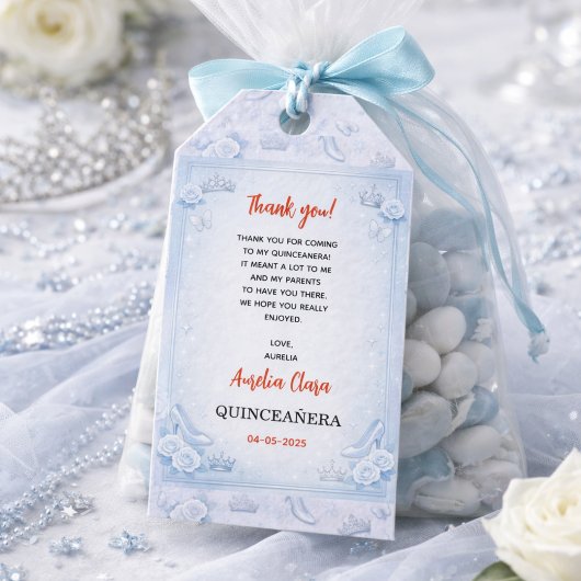 Light Blue Silver Princess Quinceanera Birthday Cadeaulabel