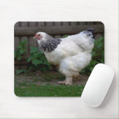Light Brahma Hen Muismat (Met muis)