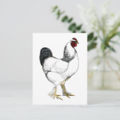 Light Brahma Rooster - Elegant  Chicken Briefkaart (Staand voorkant)