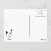 Light Brahma Rooster - Elegant  Chicken Briefkaart (Achterkant)