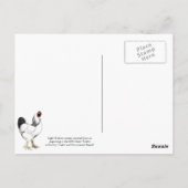 Light Brahma Rooster  Land Classic Briefkaart (Achterkant)