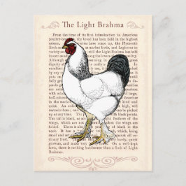 Light Brahma Rooster  Land Classic Briefkaart