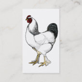 Light Brahma Rooster  Land Classic Visitekaartje (Achterkant)