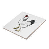 Light Brahma Rooster  Style Boerderij Kitchen Tegeltje (Zijkant)