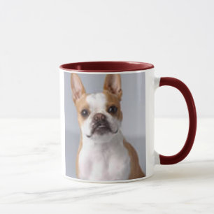 Light Brown Boston Terrier Dog Mok
