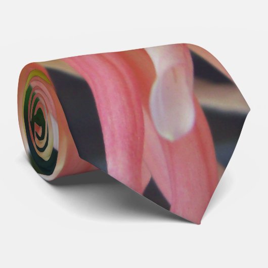 Light Dahlia Stropdas  (Opgerold)