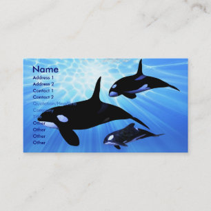 LIGHT ECHO VISITEKAARTJE