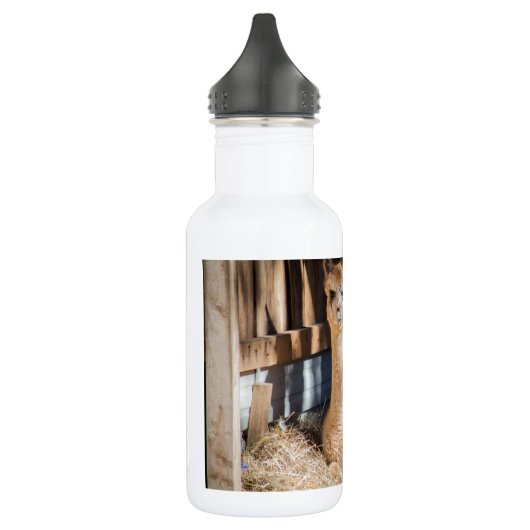 Light Fawn Alpaca Waterfles (Links)