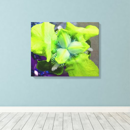 Light Green Iris Canvas (Insitu (Houten vloer))