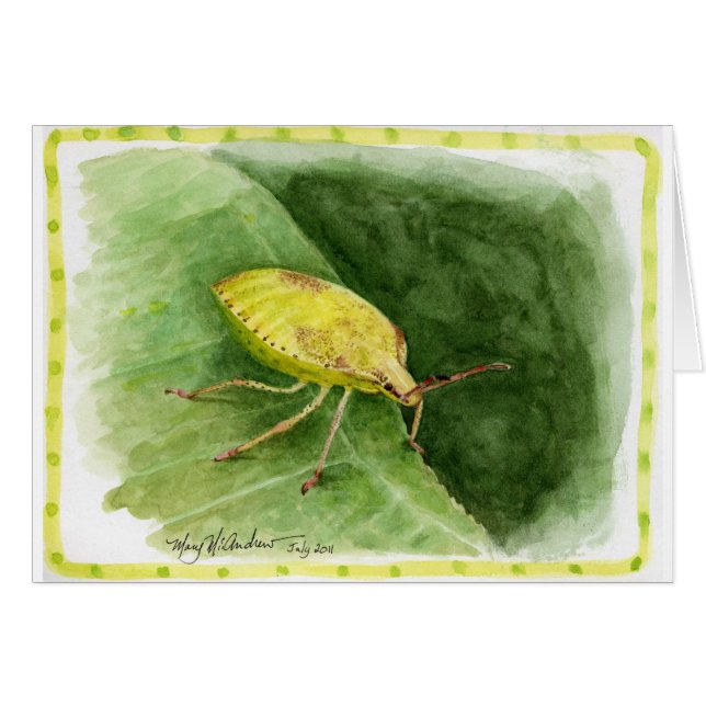 Light Green Stink Bug (Voorkant Horizontaal)
