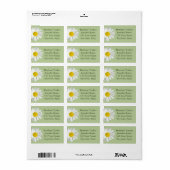 Light Green White Daisy Envelope Adresetiketten Etiket (Full Sheet)