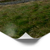 Light Hazzles Reservoir Perfect Poster (Hoek)
