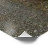 Light Hazzles Reservoir Perfect Poster (Hoek)