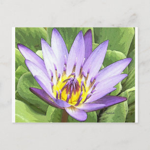 Light in the heart of the lotus briefkaart