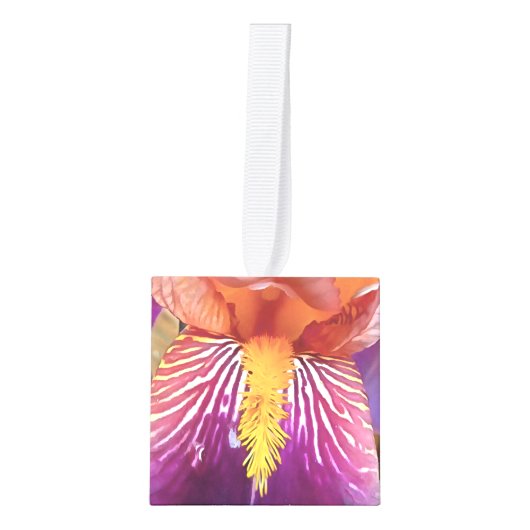 Light Iris Macro Artistic Abstract Decoratie (Voorkant)