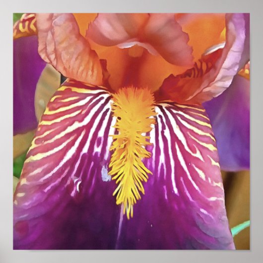 Light Iris Macro Artistic Abstract Poster (Voorkant)