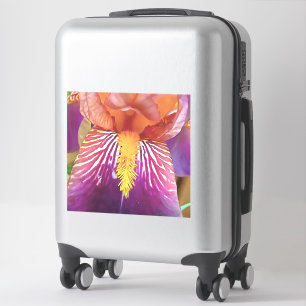 Light Iris Macro Artistic Abstract Sticker