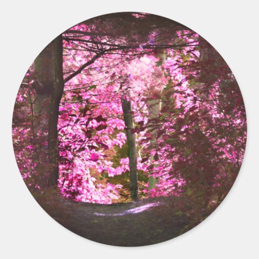 Light on Woodland Path Natuur Ronde Sticker (Voorkant)
