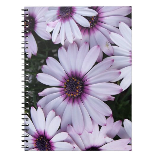 Light Paars Blooms Bouquet Notitieboek (Voorkant)