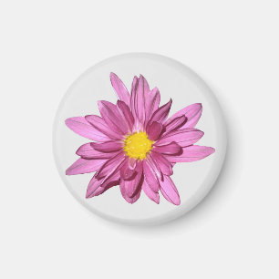 Light Paars Gerbera Magnet
