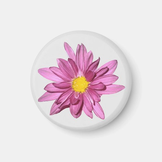 Light Paars Gerbera Magnet (Voorkant)
