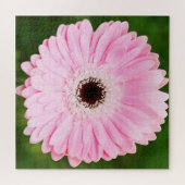 Light Pink Gerbera Daisy Floral Legpuzzel (Horizontaal)