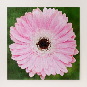 Light Pink Gerbera Daisy Floral Legpuzzel
