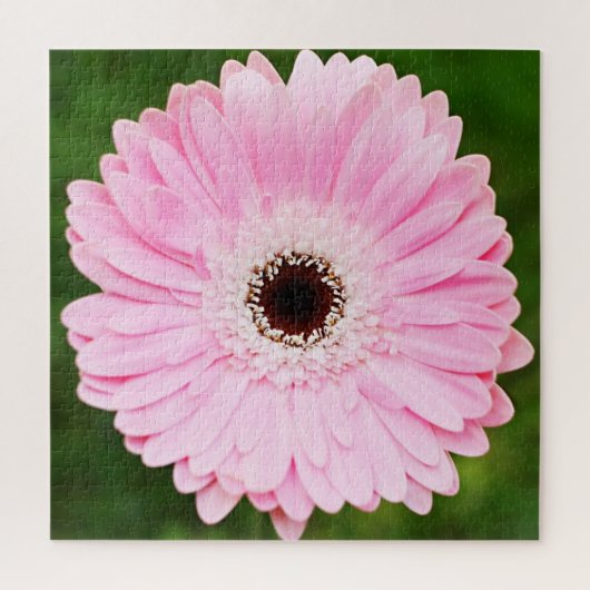 Light Pink Gerbera Daisy Floral Legpuzzel (Verticaal)