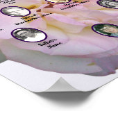 Light Pink Rose Photo with Oval Ancestor Photos Poster (Hoek)
