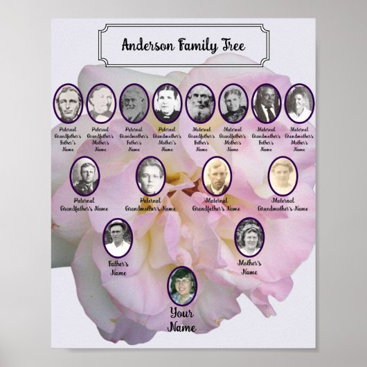 Light Pink Rose Photo with Oval Ancestor Photos Poster (Voorkant)