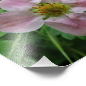 Light Roze aardbei Blossom Floral Foto Foto Afdruk (Hoek)