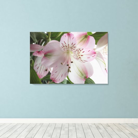 Light Roze alstroemeria Canvas Afdrukken (Insitu (Houten vloer))
