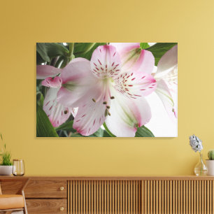 Light Roze alstroemeria Canvas Afdrukken