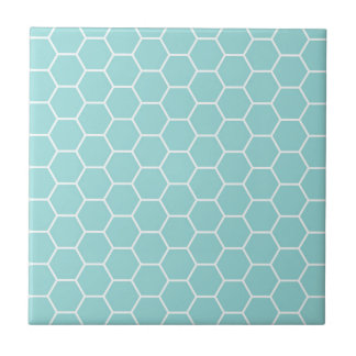 Light Turquoise Hexagon Honeycomb Patroon Tegeltje