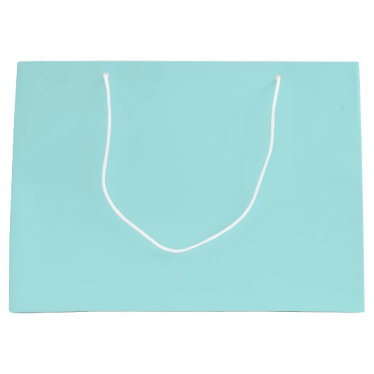 Light Turquoise Large Gift Bag Large Cadeautasje (Voorkant)