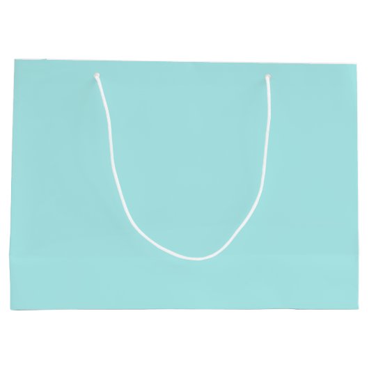 Light Turquoise Large Gift Bag Large Cadeautasje (Achterkant)