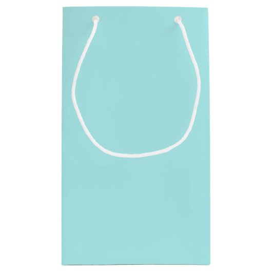 Light Turquoise Small Gift Bag Klein Cadeauzakje (Achterkant)